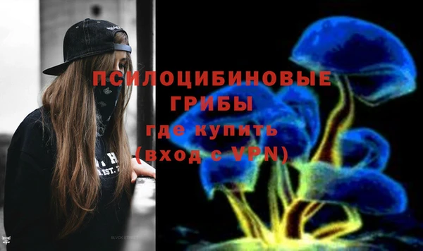 молекула духа Новозыбков