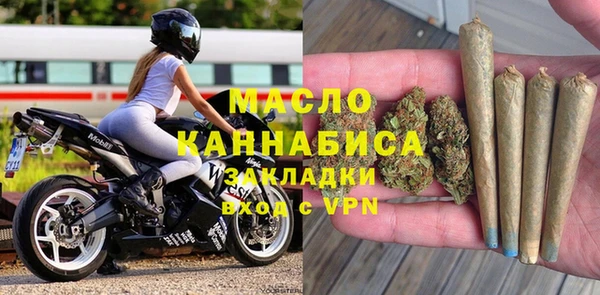 молекула духа Новозыбков