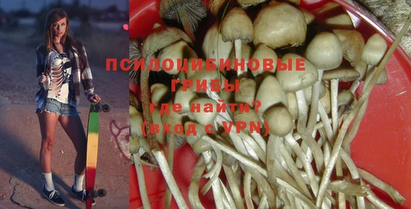 молекула духа Новозыбков
