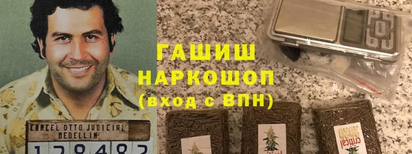 молекула духа Новозыбков