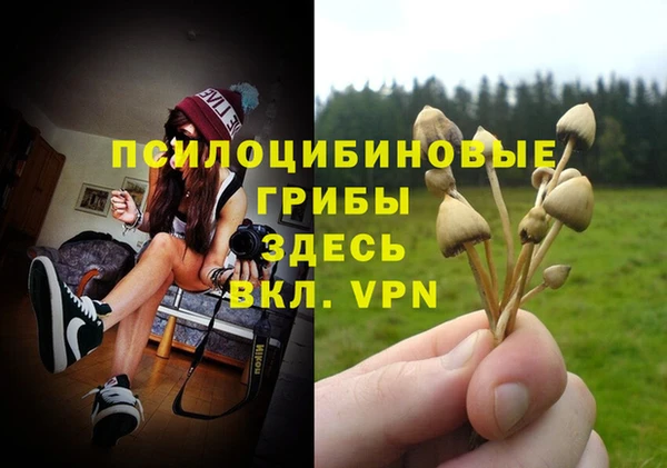 молекула духа Новозыбков