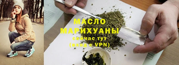 молекула духа Новозыбков